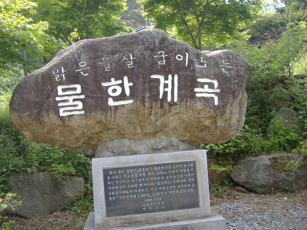 영동카센타 이미지