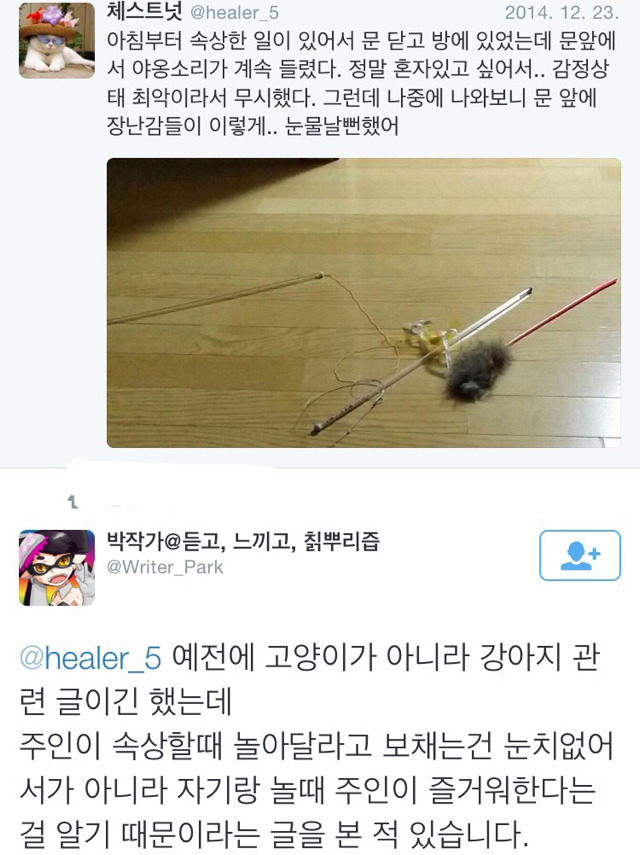 주인이 속상해할때 반려동물들이 놀아달라고 보채는 이유 | 인스티즈