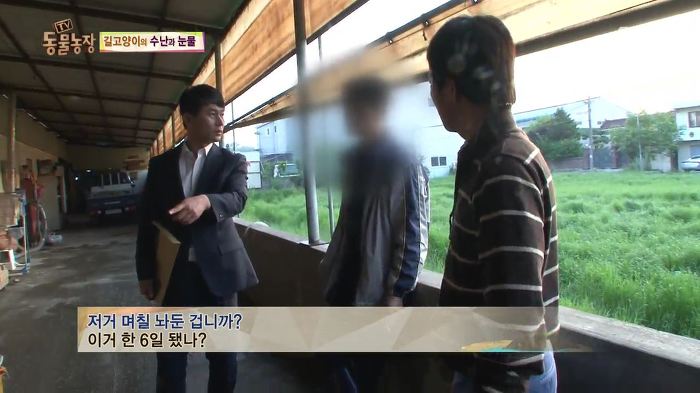 눈앞에서 제 아이가 맞아죽었습니다. 도와주세요 | 인스티즈