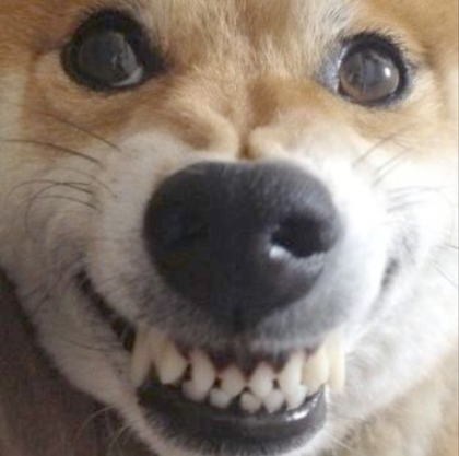 나도 이미지