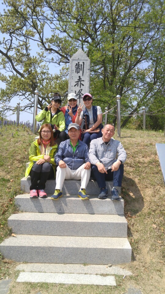 스카이네트워크 이미지