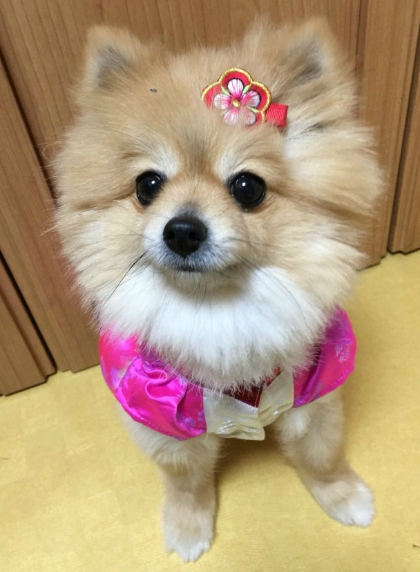 구리시/남양주시 사랑하는 동생을 잃어버렸습니다 한번만 눌러주세요 제발요.. | 인스티즈