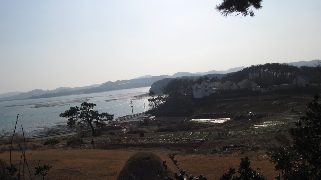 솜니움 이미지