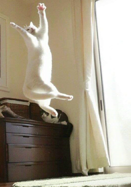 나는_춤추기를_갈망한다(feat.발레리냥).jyp | 인스티즈