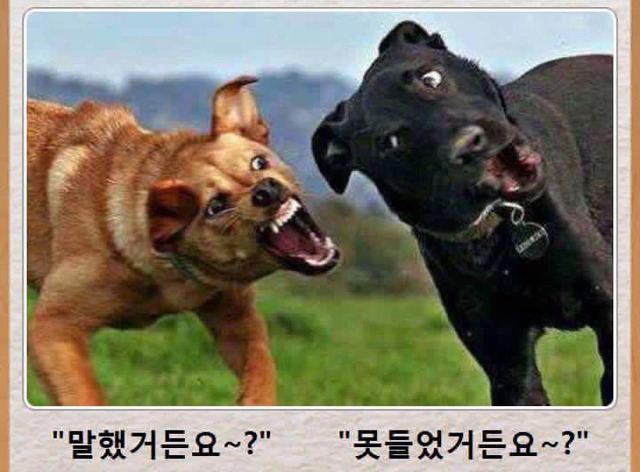 무운 이미지