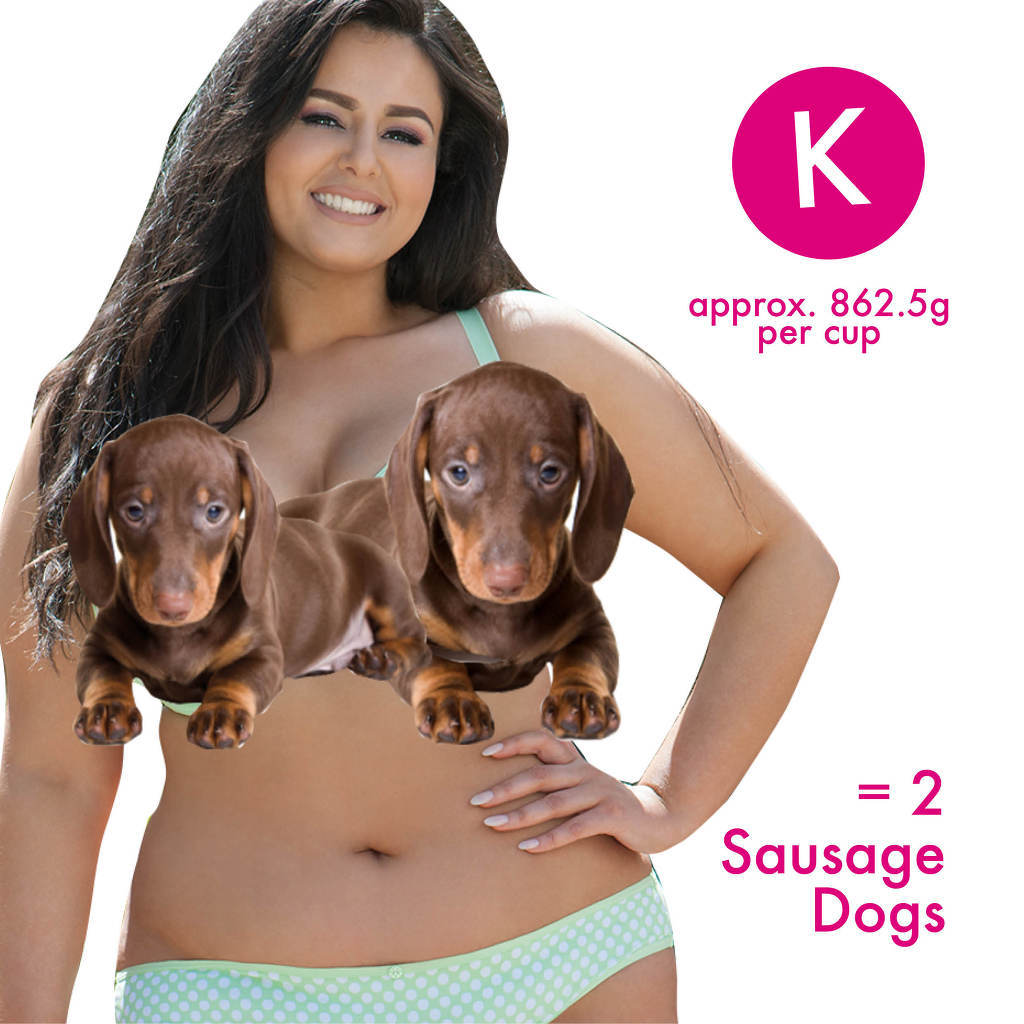 해외 브래지어 업체가 고안한 여성가슴의 정확한 무게 | 인스티즈