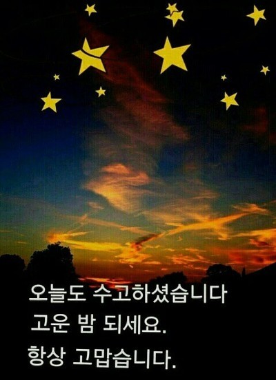 그루터기 이미지