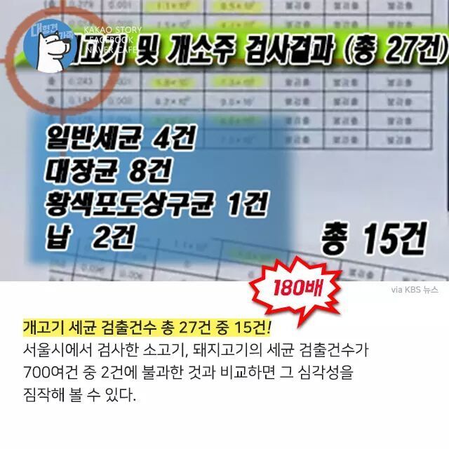 개고기를 먹지말아야 하는 설득력있는 이유 | 인스티즈