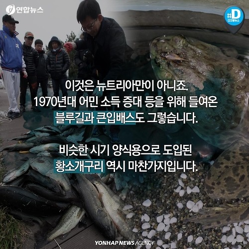 다시 관심받는 뉴트리아의 항변 .. | 인스티즈