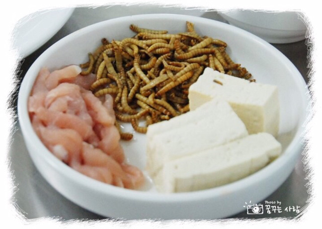 벌레주의) 우리나라에서 매년 열린다는 곤충요리경연대회 | 인스티즈