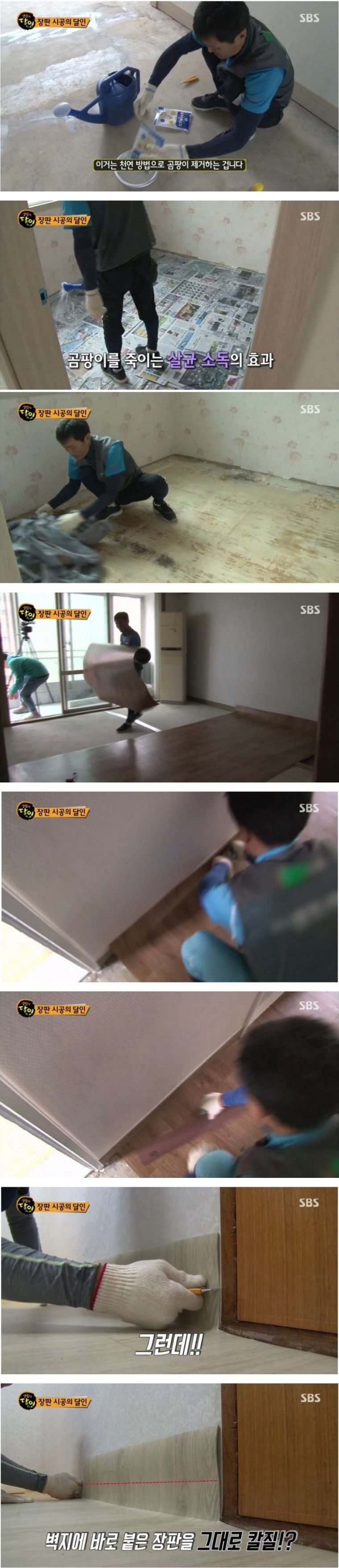 장판 시공의 달인.jpg | 인스티즈