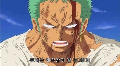 [원피스] 루피가 가장 신뢰하는 동료.jpg | 인스티즈
