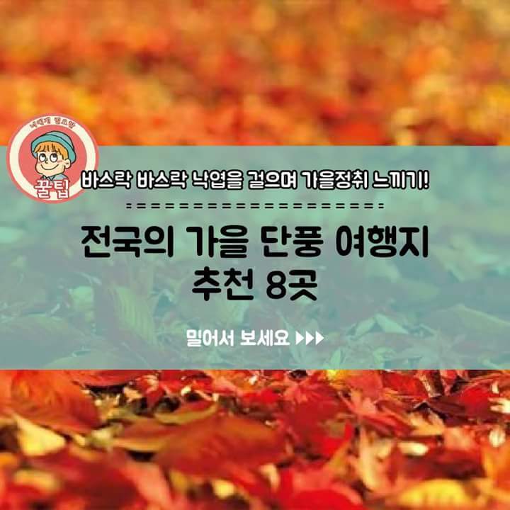 전국의 가을 단풍 여행지 추천 8곳 | 인스티즈