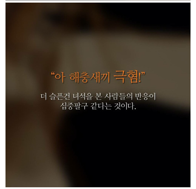 벌레 죽이지 마세요... | 인스티즈