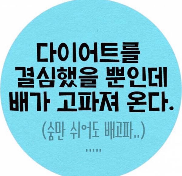 다이어트 공감류 | 인스티즈