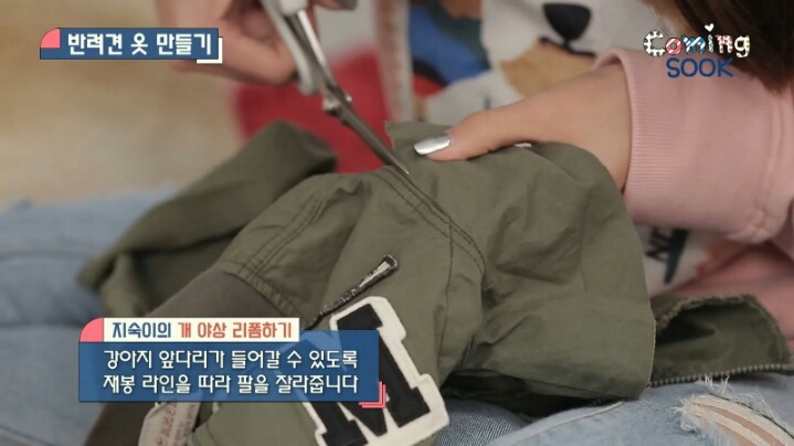 강아지 옷 만드는 지숙.jpg | 인스티즈
