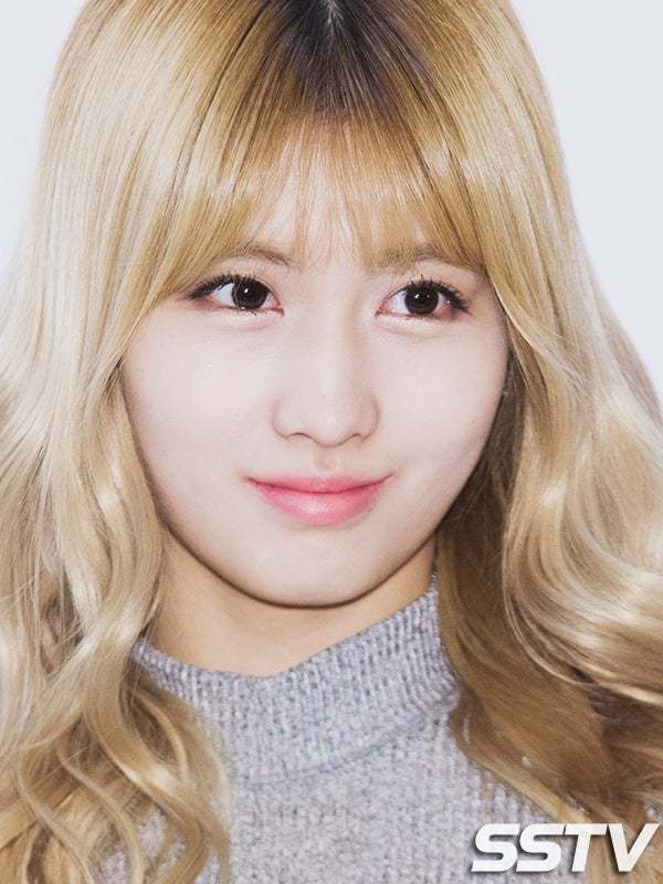 [트와이스] 아이돌 찍덕 뺨치고 두번 치는 SSTV 사진기자님 | 인스티즈