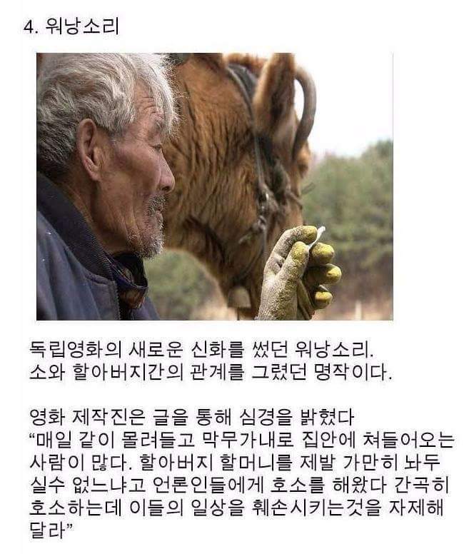 일반인들이 유명해지면 안되는이유 | 인스티즈