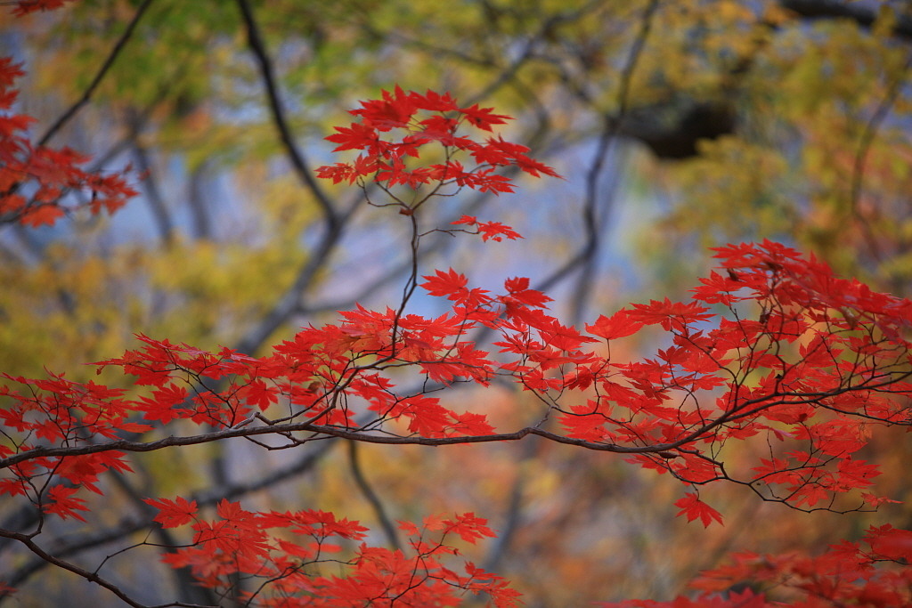 지라산 이미지
