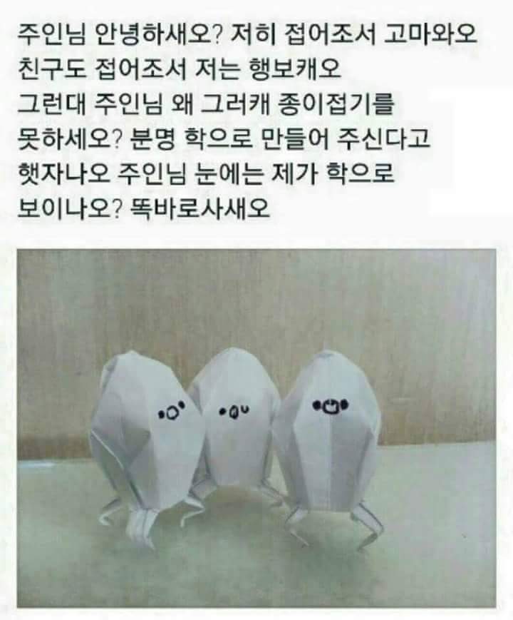 안녕하새오 시리즈 | 인스티즈