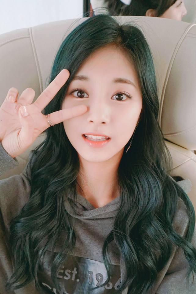 트와이스 버스안에서 찍은 사진 | 인스티즈