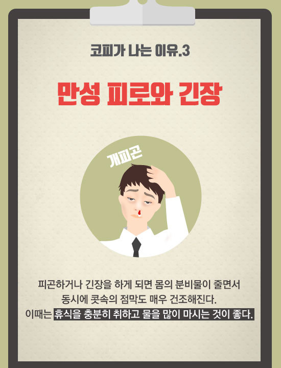 코피가 자주 나는 이유, 응급처치와 예방법 | 인스티즈