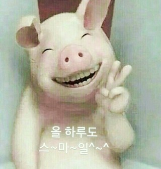 칼치랑고등어랑 이미지