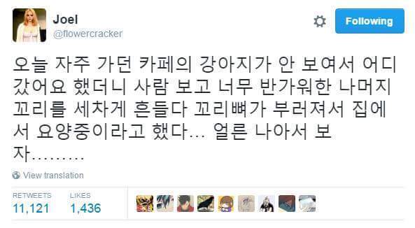 본능적꼬리 | 인스티즈