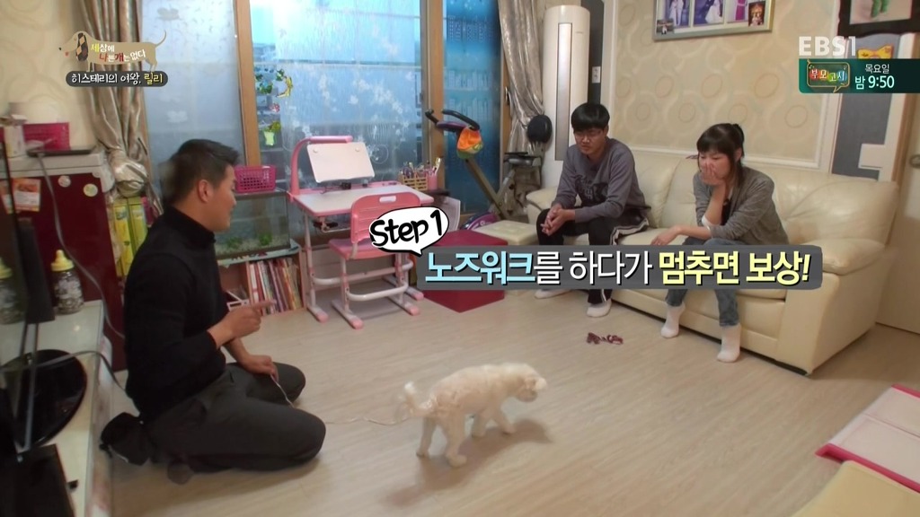 [세상에나쁜개는없다] 가족들에게 짖고 무는 강아지 릴리햏 | 인스티즈