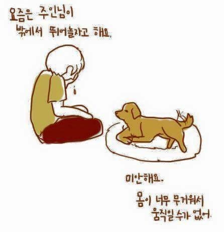 강아지와 주인의 이별법 | 인스티즈