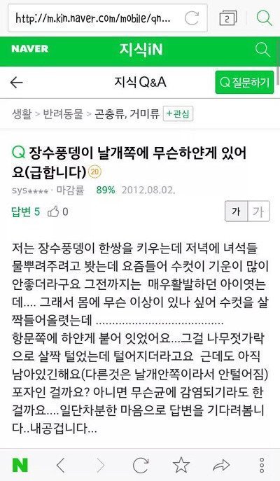 다시보는 장수풍뎅이 대참사.jpg | 인스티즈