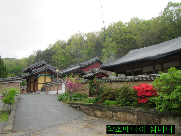 천마총각과 명이처녀 이미지