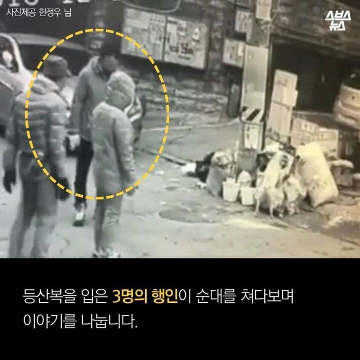 제 강아지가 잡아먹혔습니다 | 인스티즈