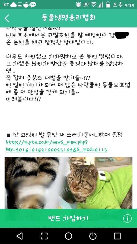 천안 고양이 양발묶인채 쓰레기버리곳에서 버린 범인 찾았음 | 인스티즈