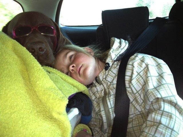 애들과 멍멍이 | 인스티즈