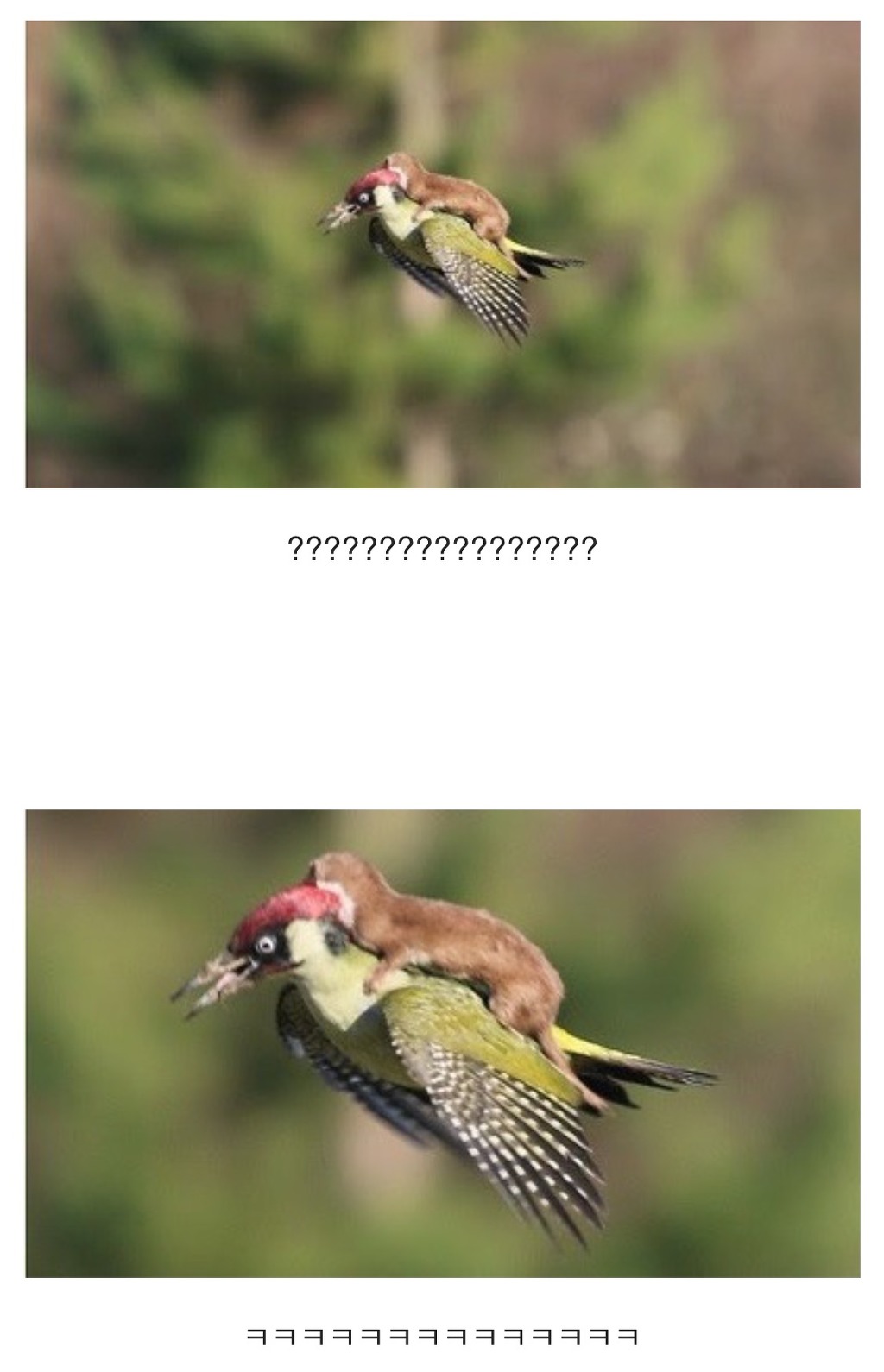 너 거기서 뭐하니? | 인스티즈