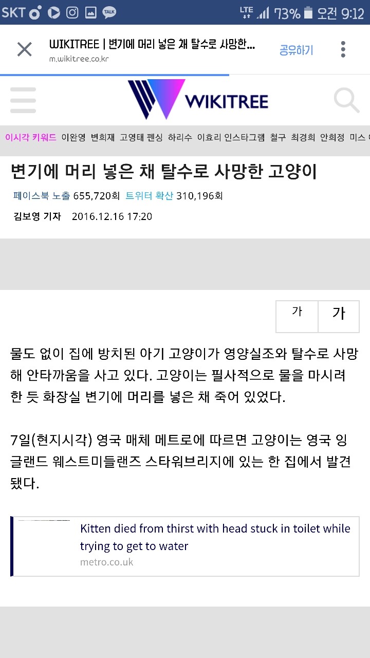 변기에 머리 넣은 채 탈수로 사망한 고양이 | 인스티즈
