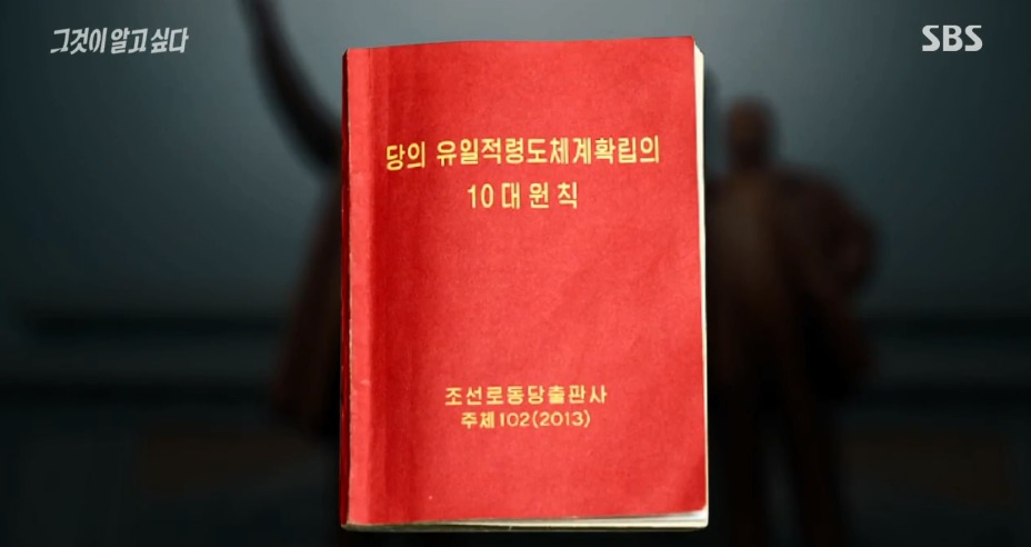 [그알] 한국에 온 북한 응원단이 갑자기 돌발행동을 한 이유.jpg | 인스티즈