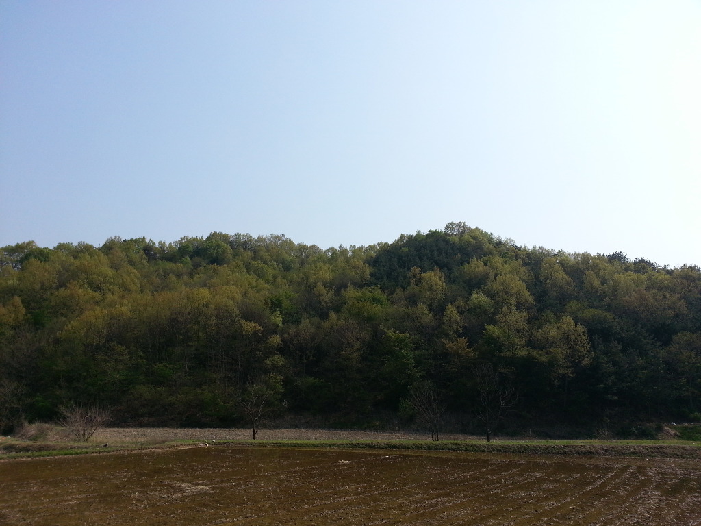 영락원 이미지
