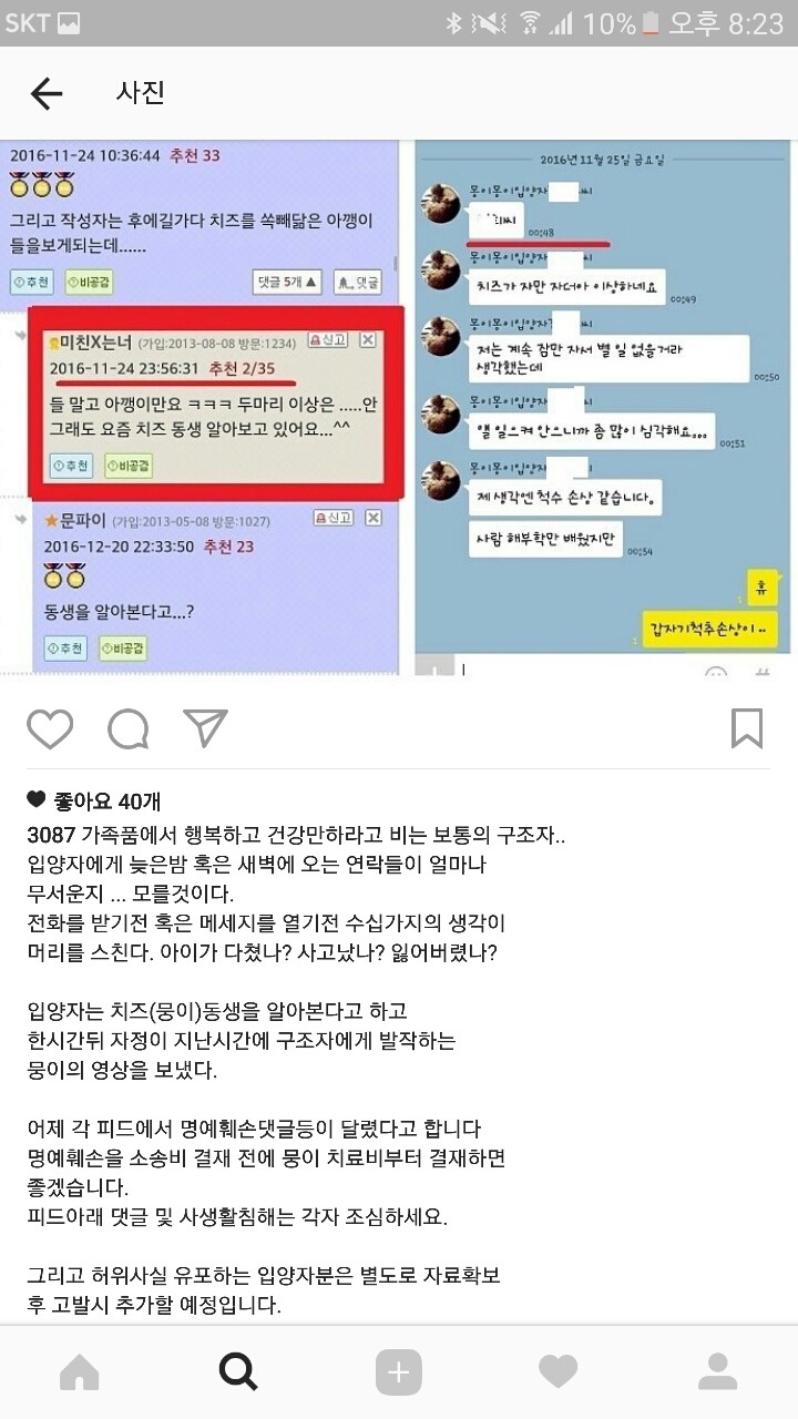 학대받은 고양이를 도와주세요. 추천수가 필요해요 | 인스티즈
