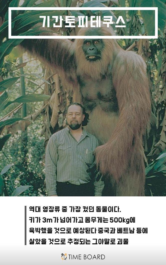 멸종되서 다행인 동물 | 인스티즈