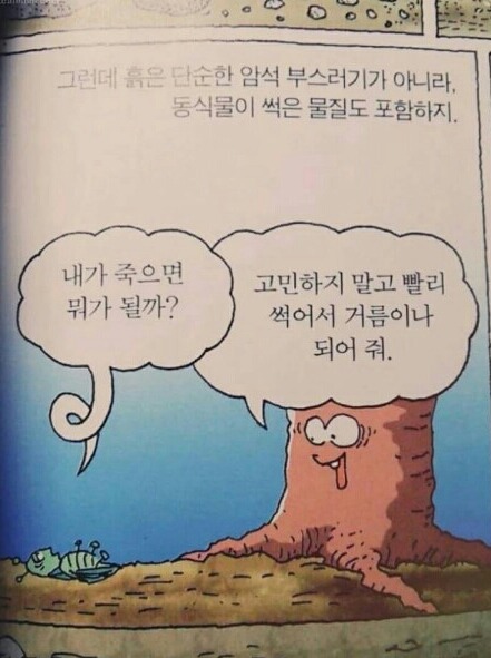 나무의 인성수준 | 인스티즈
