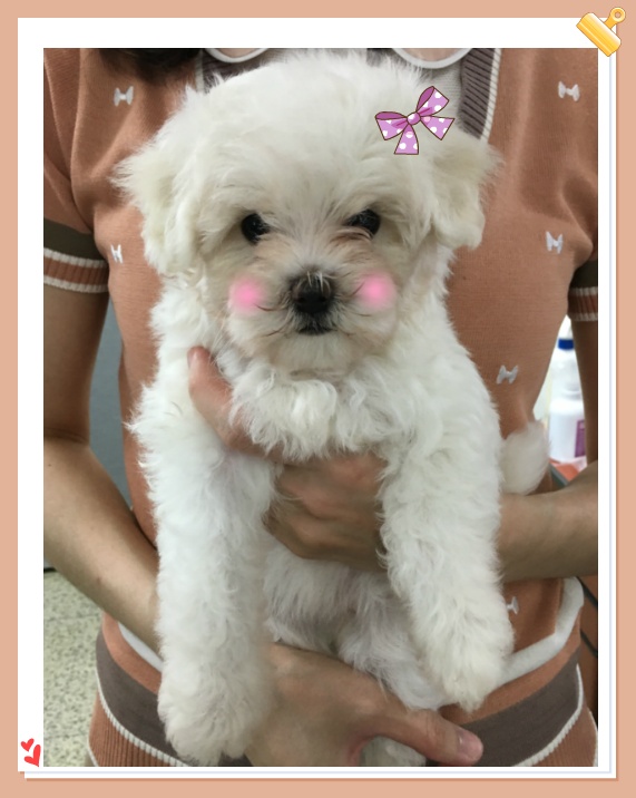 정화노인요양원 이미지