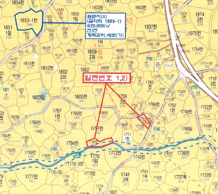 금악초등학교 이미지