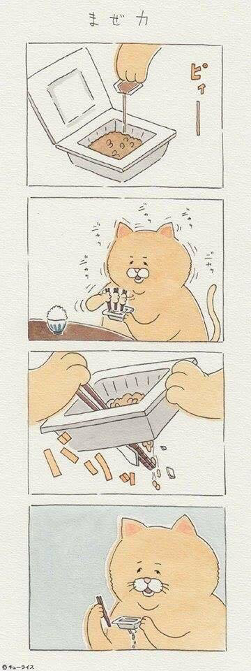 뭘 해도 안되는게 젤 귀여운 고양이 만화.twt | 인스티즈