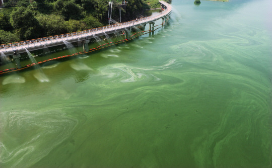 이명박 예산 낭비 클라스.jpg (feat.사대강) | 인스티즈