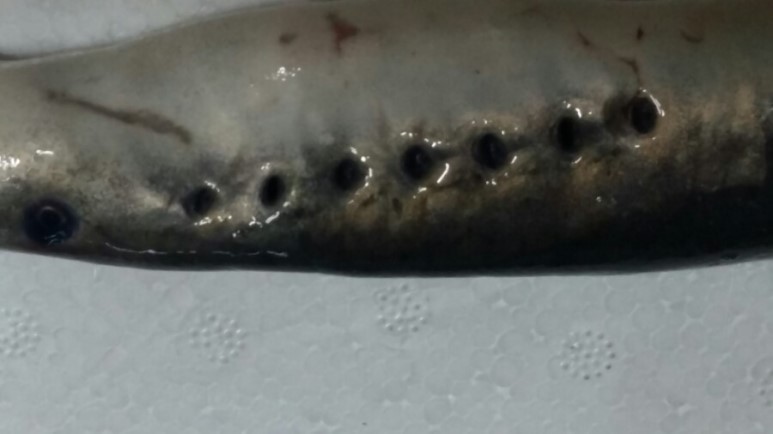 칠성유리 이미지