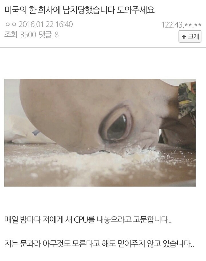 허언증 갤러리 최신글 | 인스티즈