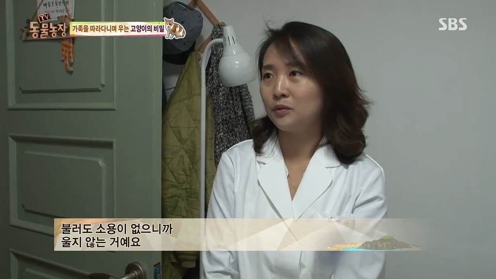 [동물농장] 존트 할말 다 하고 사는 수다쟁이 고양이 쪼롱이ㅋㅋㅋㅋ.jpg | 인스티즈