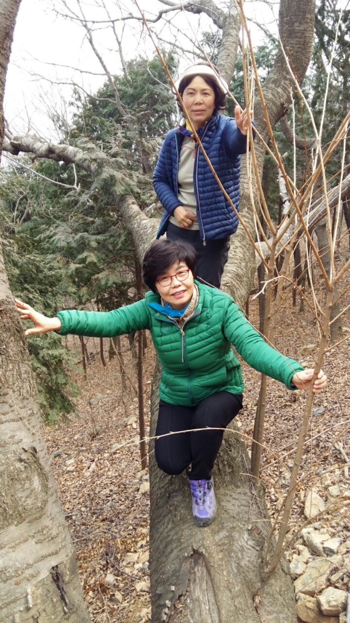 (주)해련 이미지